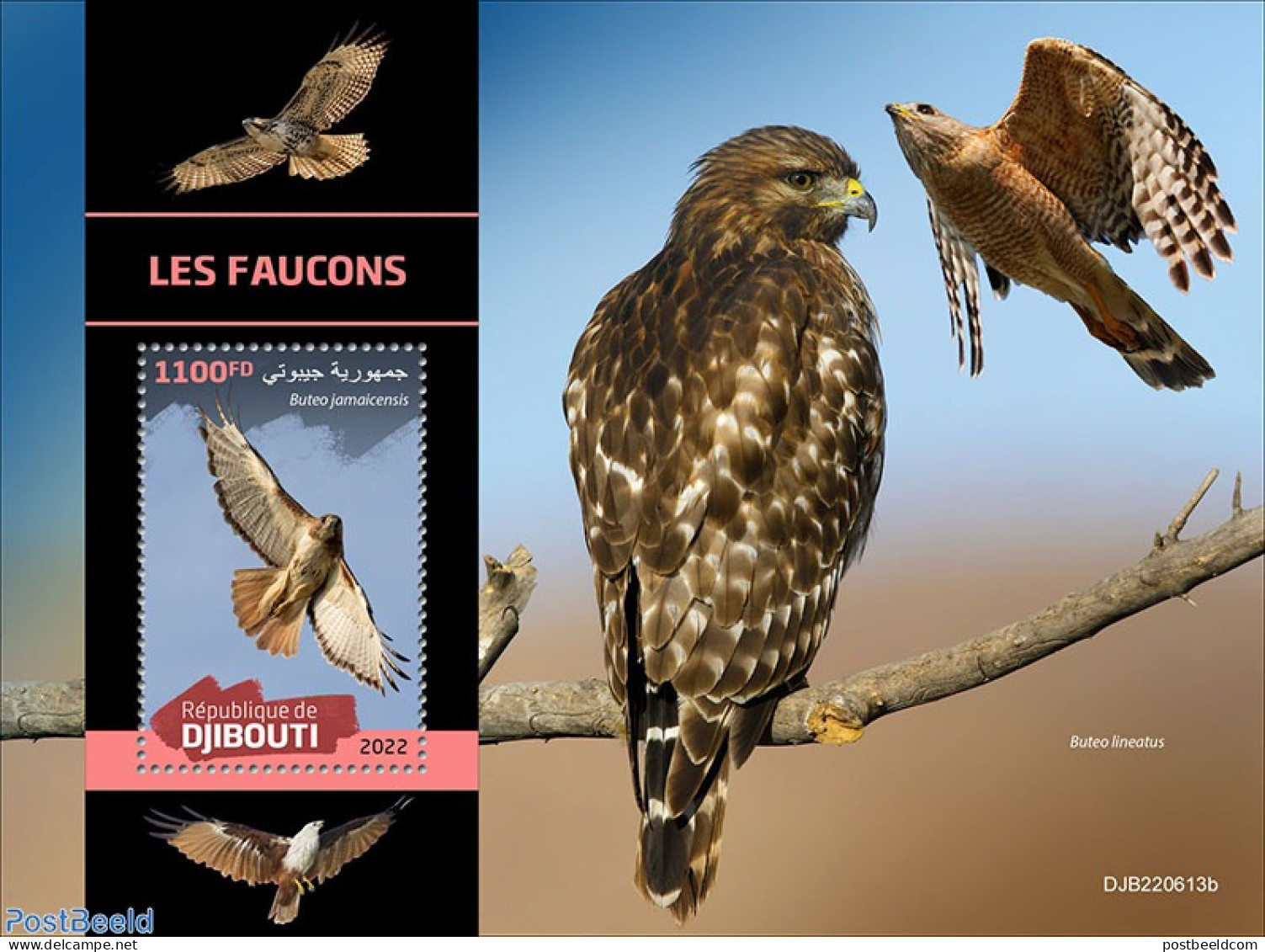 Djibouti 2022 Hawks, Mint NH, Nature - Birds - Birds Of Prey - Yibuti (1977-...)