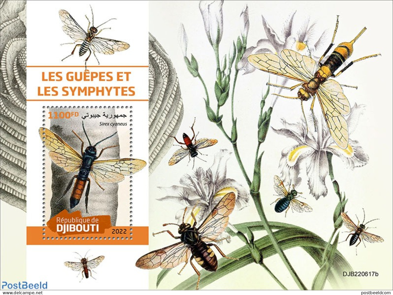 Djibouti 2022 Wasps And Sawflies, Mint NH, Nature - Insects - Yibuti (1977-...)
