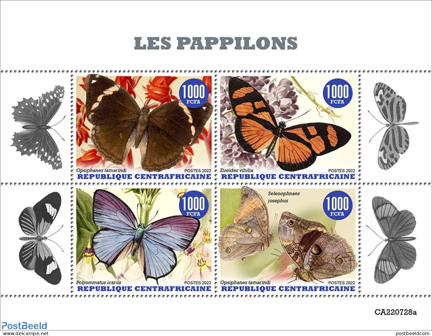 Central Africa 2022 Butterflies, Mint NH, Nature - Butterflies - Flowers & Plants - Zentralafrik. Republik