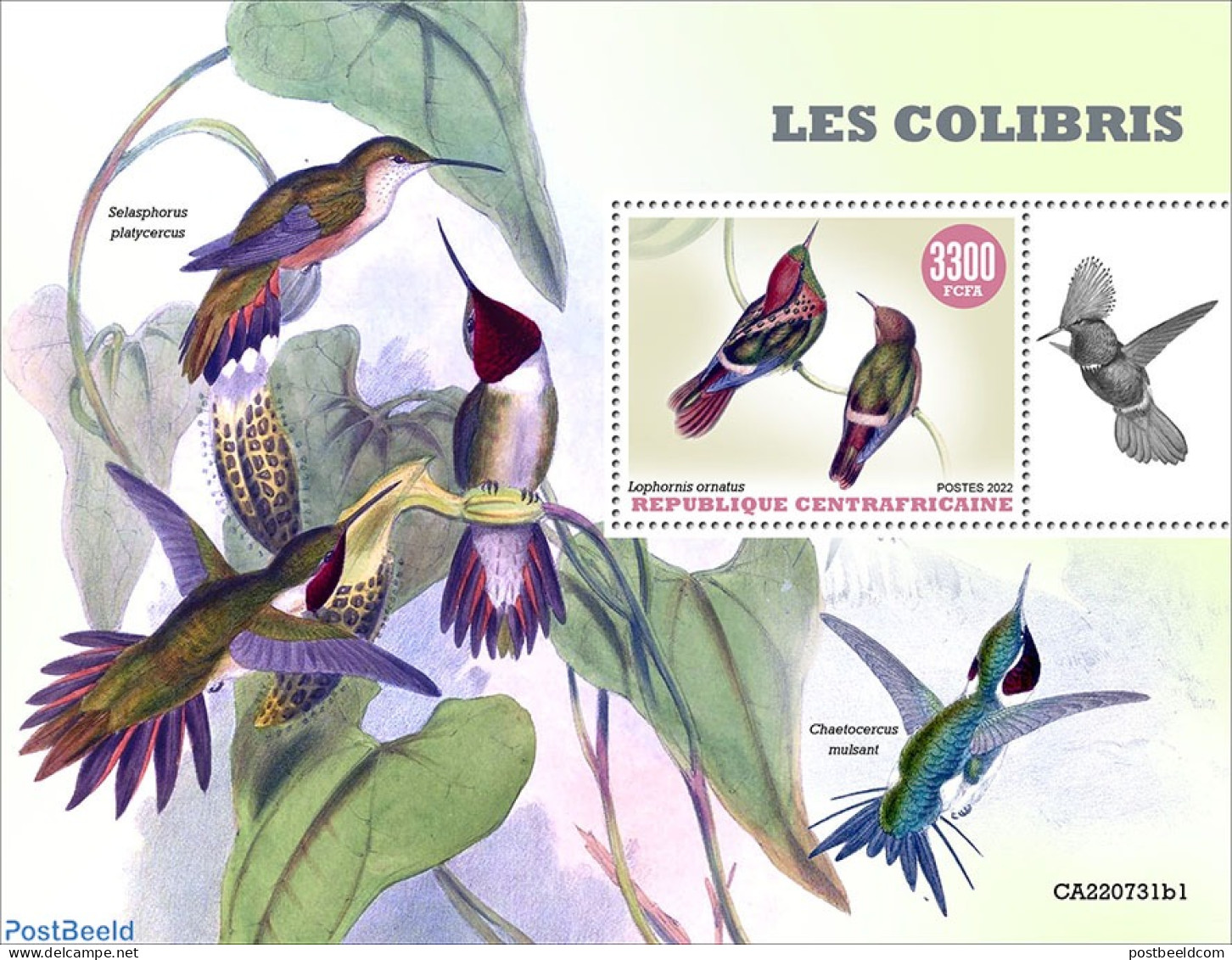 Central Africa 2022 Hummingbirds, Mint NH, Nature - Hummingbirds - Central African Republic