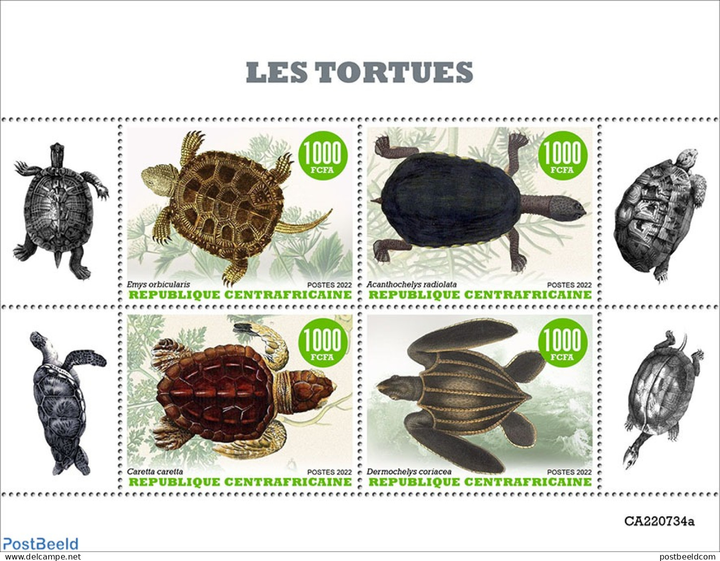 Central Africa 2022 Turtles, Mint NH, Nature - Turtles - Centrafricaine (République)