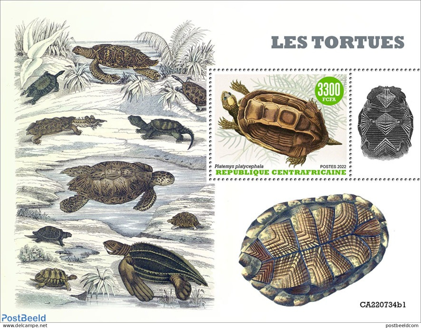 Central Africa 2022 Turtles, Mint NH, Nature - Turtles - Zentralafrik. Republik