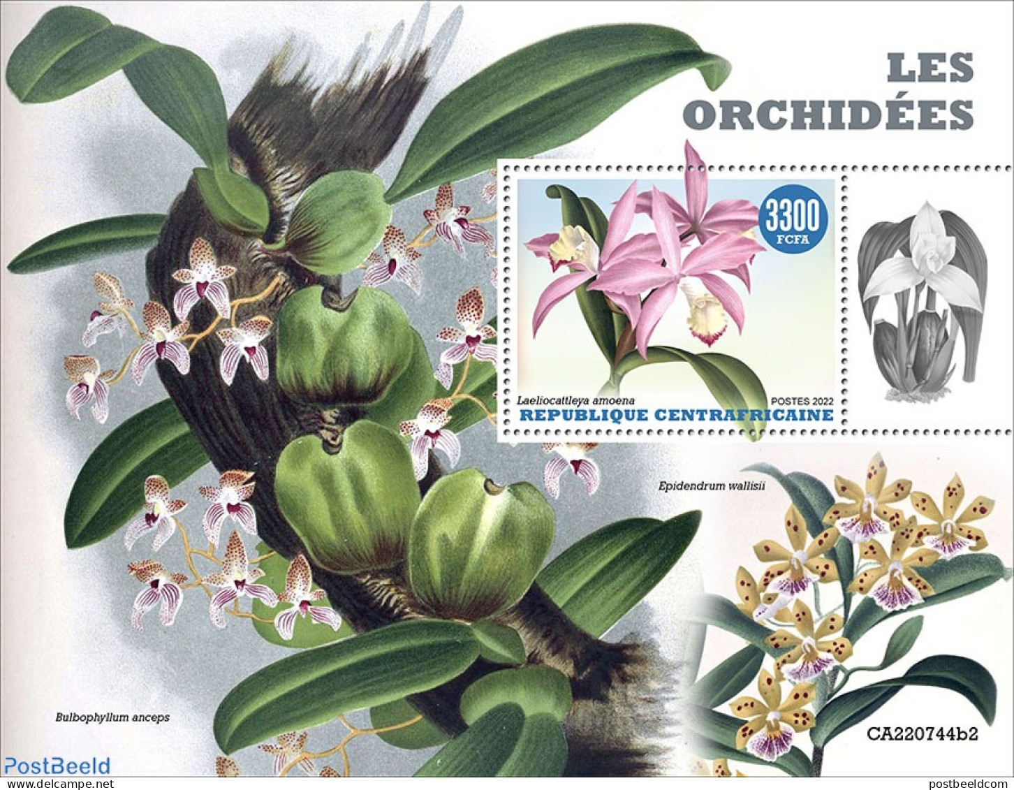 Central Africa 2022 Orchids, Mint NH, Nature - Flowers & Plants - Orchids - Zentralafrik. Republik