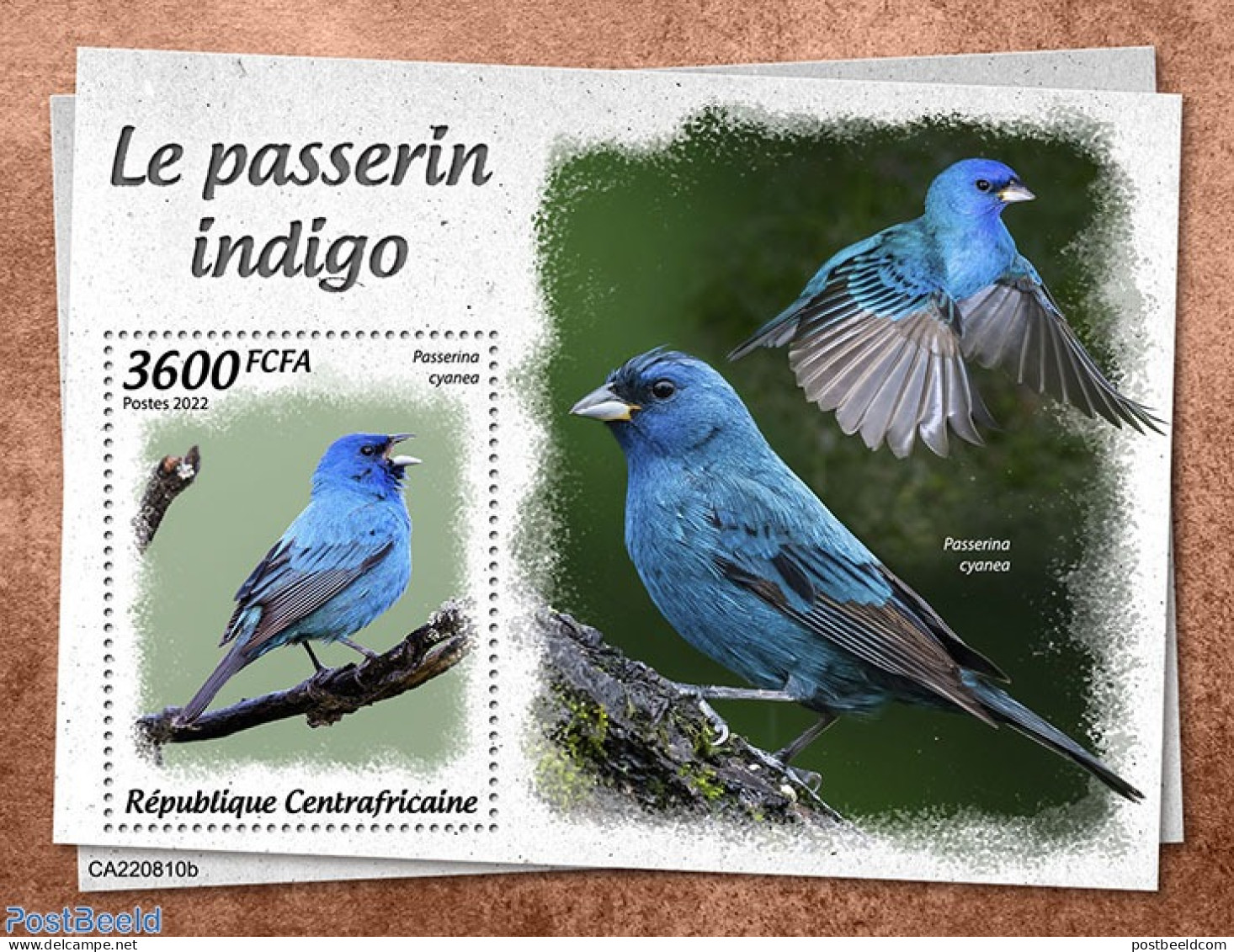 Central Africa 2022 Indigo Bunting, Mint NH, Nature - Birds - Centrafricaine (République)