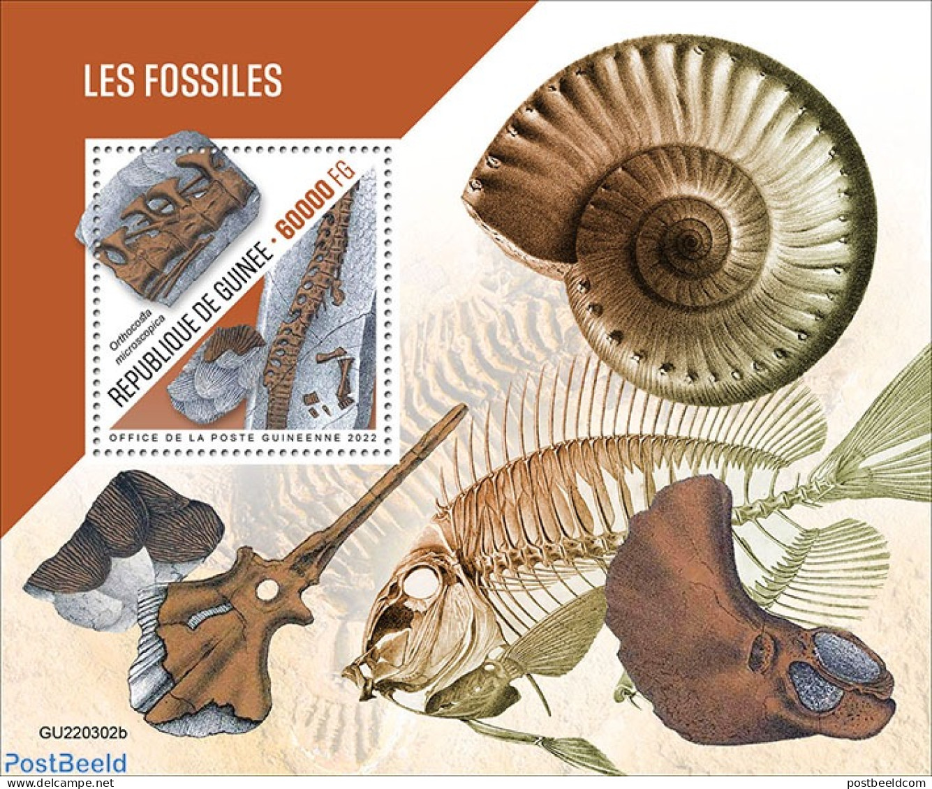 Guinea, Republic 2022 Fossils, Mint NH, Nature - Prehistoric Animals - Prehistory - Préhistoriques