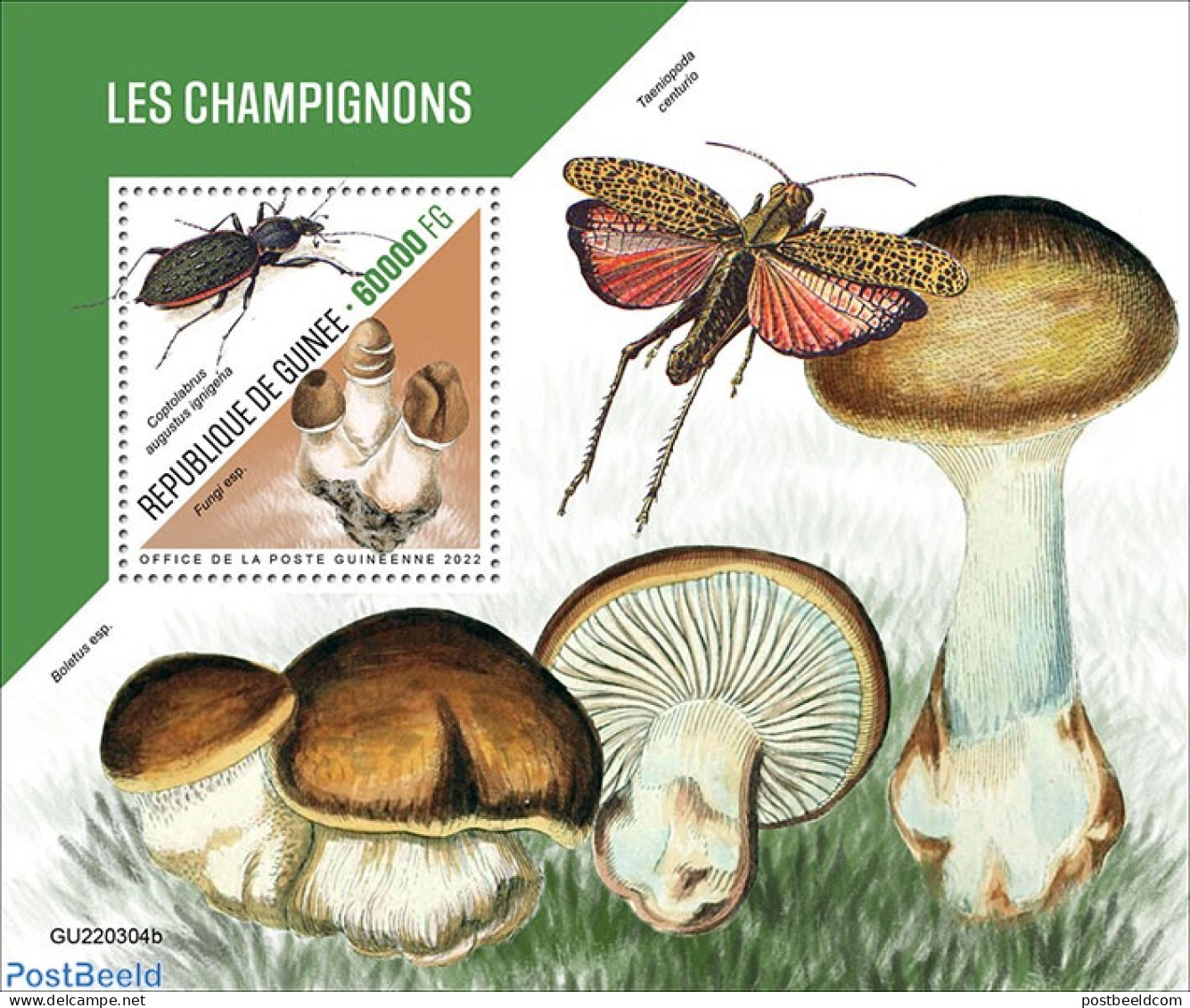 Guinea, Republic 2022 Mushrooms, Mint NH, Nature - Insects - Mushrooms - Champignons