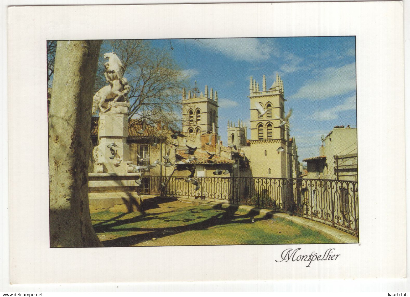 Montpellier - La Cathédrale Saint-Pierre Vue De La Place De La Canourgue - (France) - Montpellier