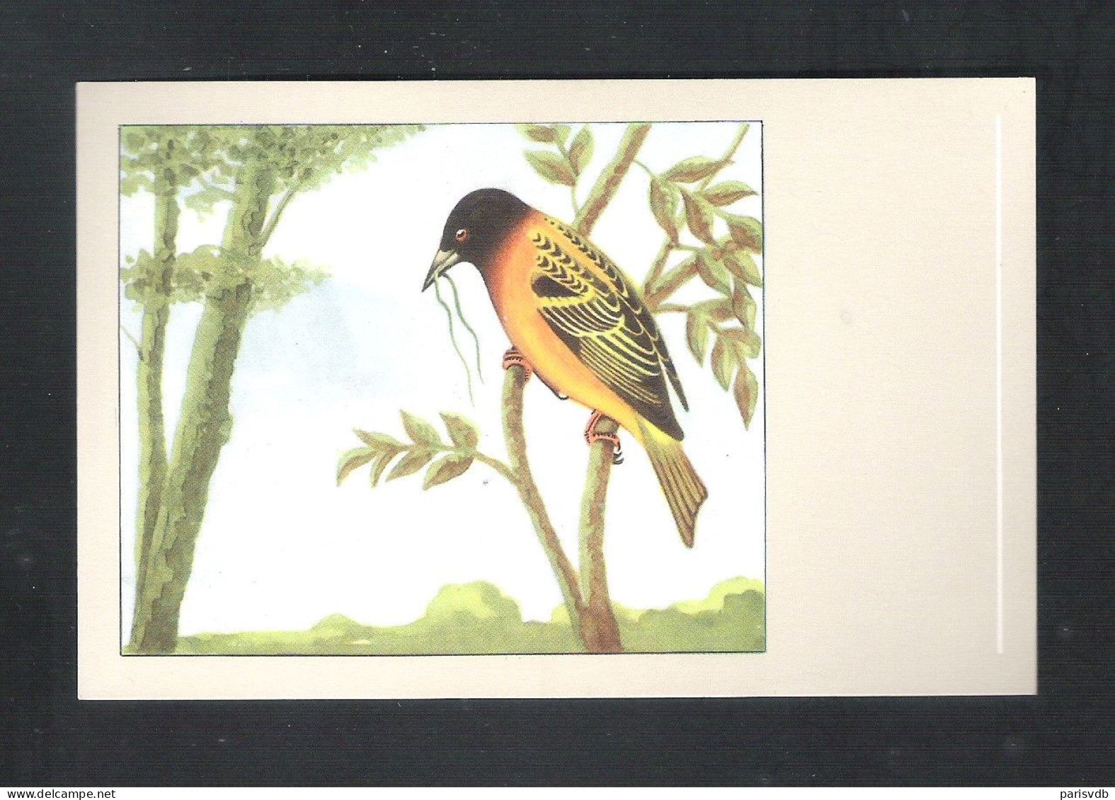 VOGEL - OISEAU - TEXTORWEVER  -  SLUIS N° 30   (13.590) - Vogels