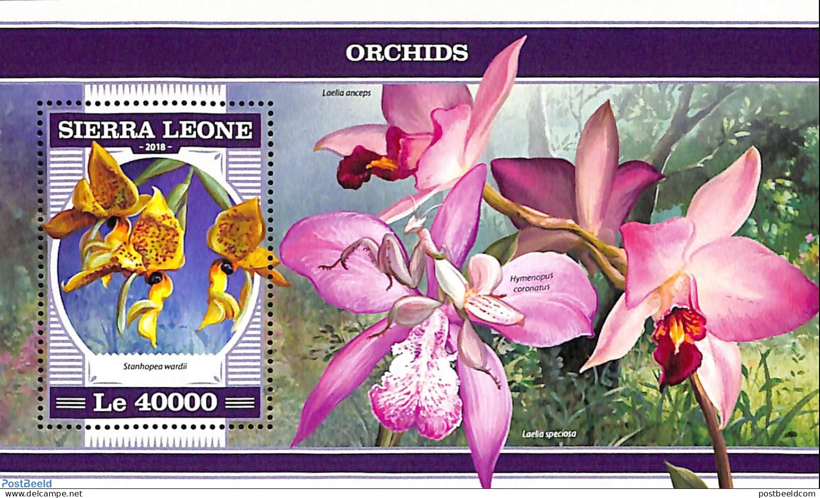 Sierra Leone 2018 Orchids, Mint NH, Nature - Flowers & Plants - Orchids - Andere & Zonder Classificatie