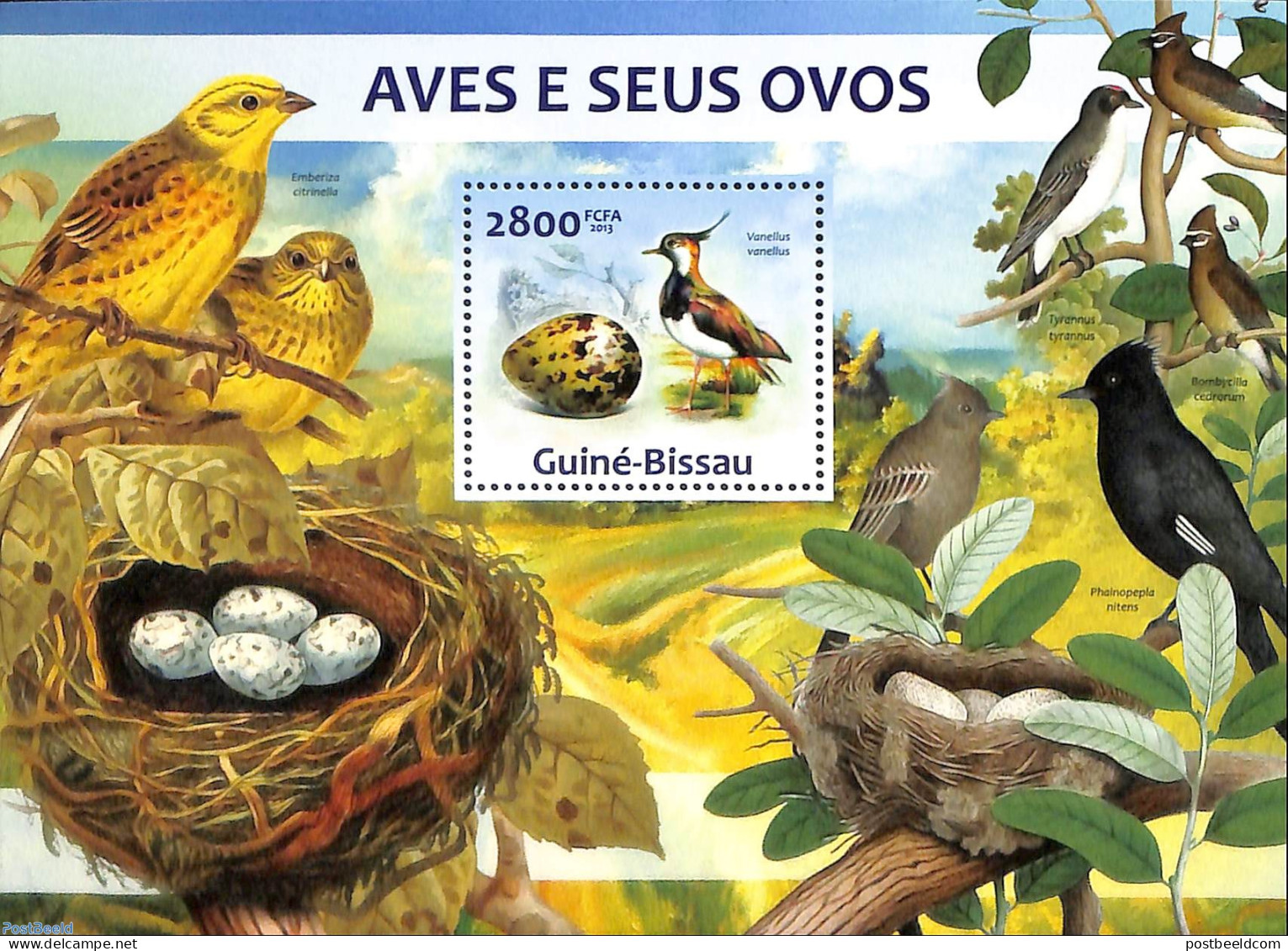 Guinea Bissau 2013 Birds And Their Eggs, Mint NH, Nature - Birds - Guinea-Bissau