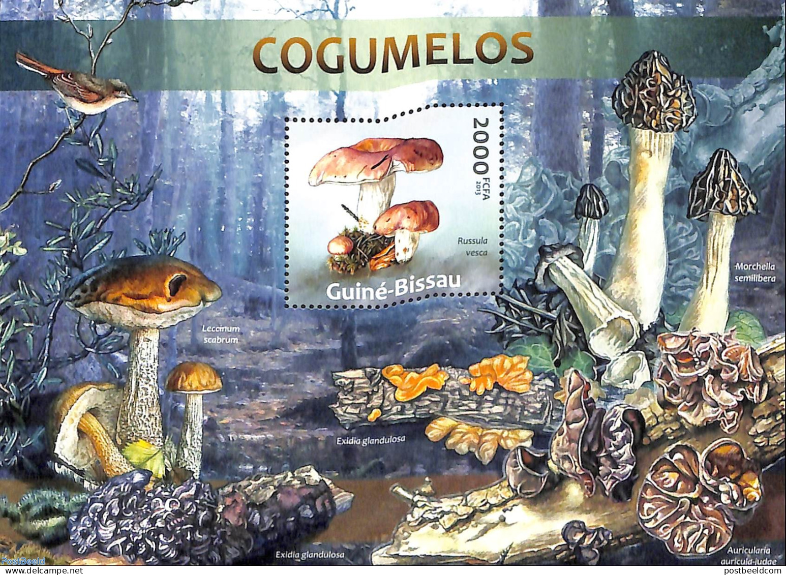 Guinea Bissau 2013 Mushrooms, Mint NH, Nature - Birds - Mushrooms - Funghi