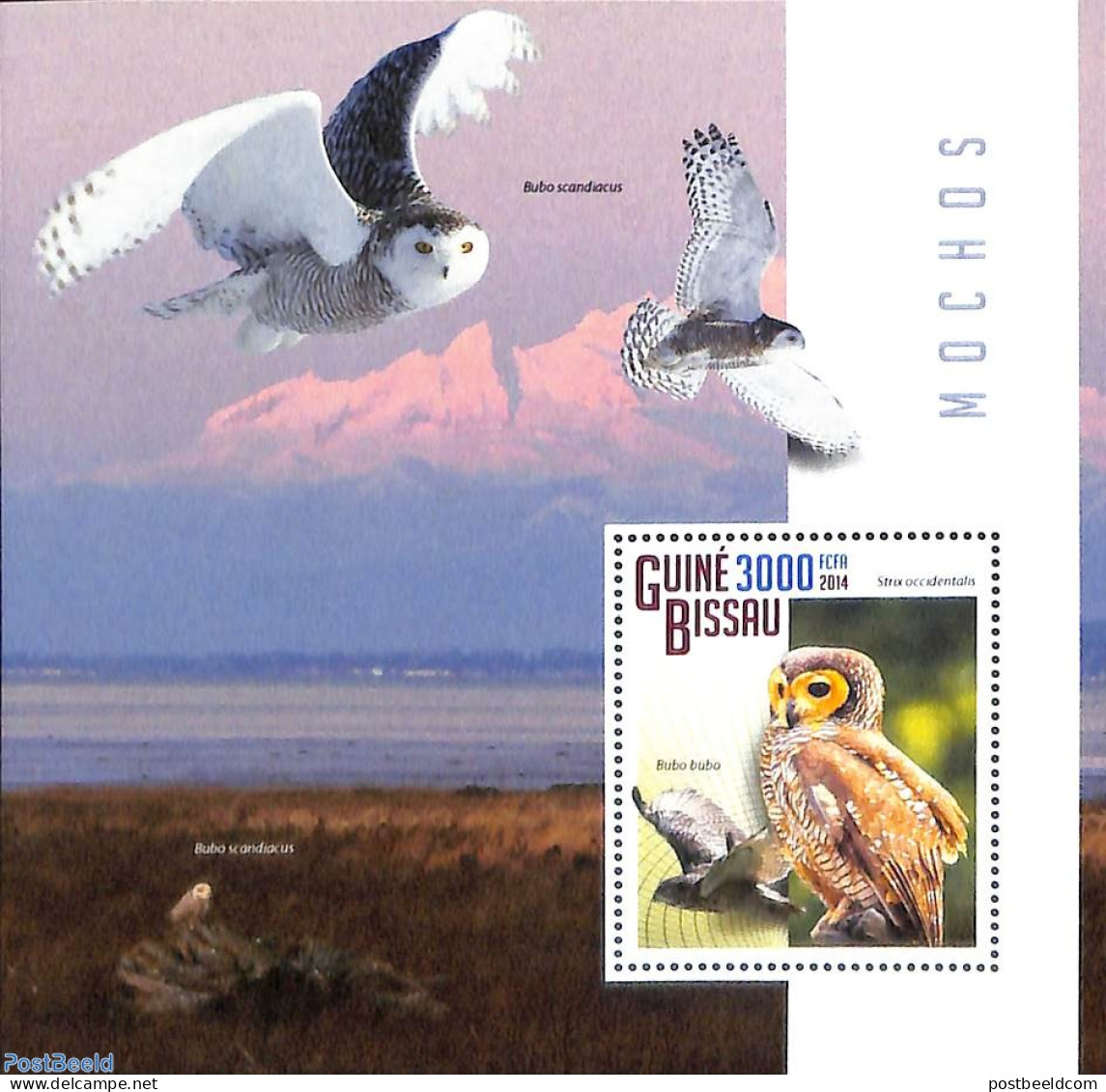 Guinea Bissau 2014 Owls, Mint NH, Nature - Birds Of Prey - Owls - Guinea-Bissau