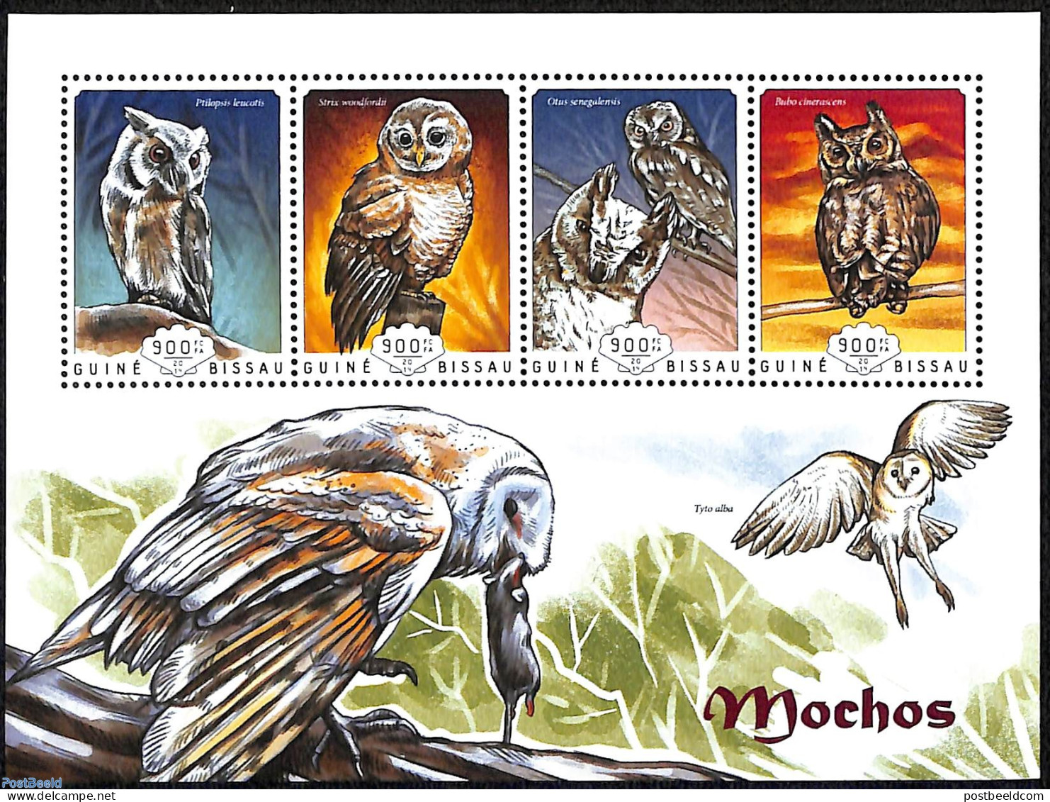 Guinea Bissau 2014 Owls, Mint NH, Nature - Birds Of Prey - Owls - Guinée-Bissau