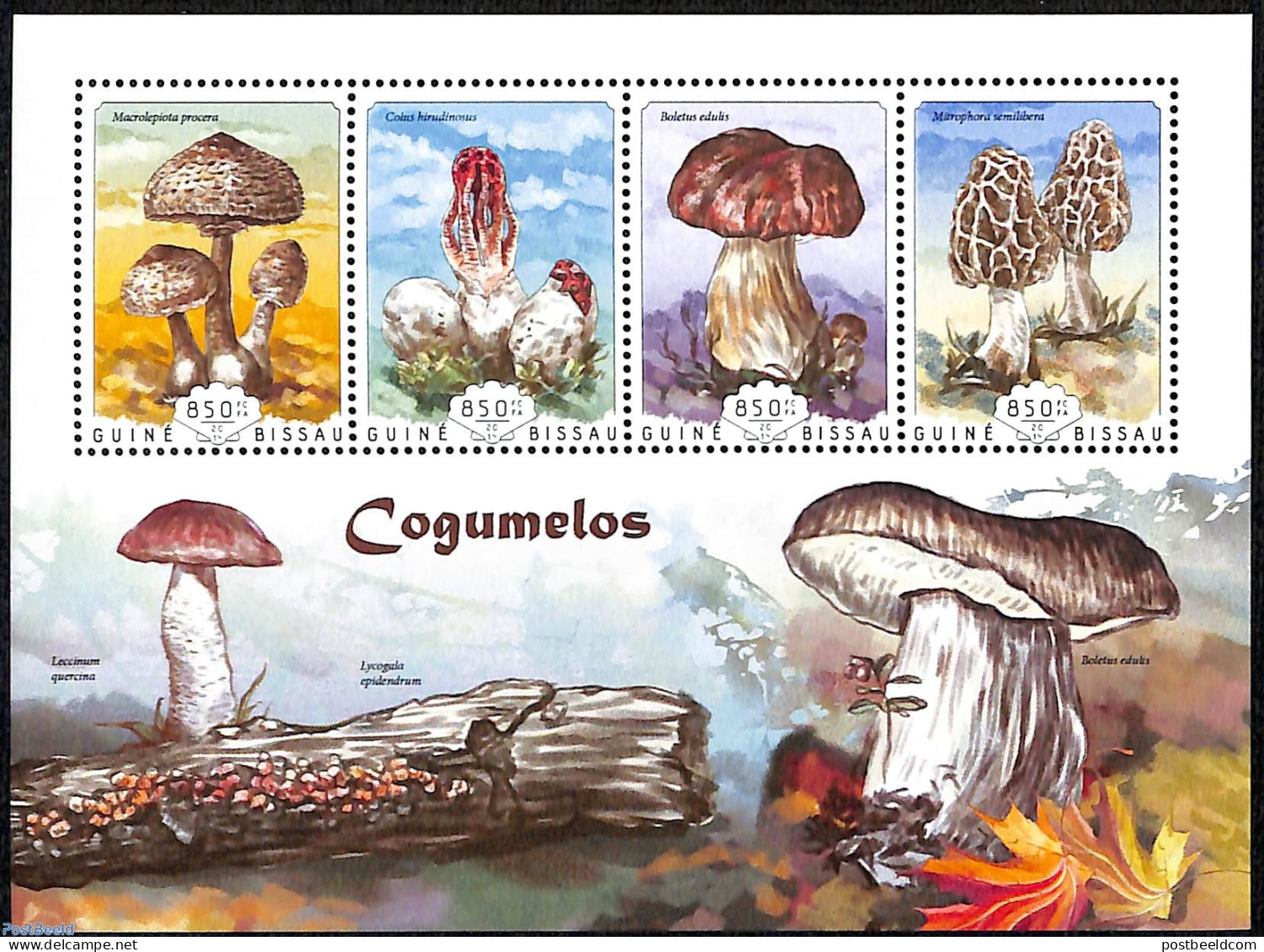 Guinea Bissau 2014 Mushrooms, Mint NH, Nature - Mushrooms - Mushrooms