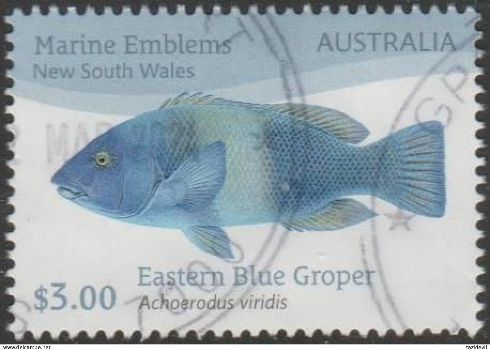 AUSTRALIA - USED 2024 $3.00 Marine Emblems - Eastern Blue Groper, New South Wales - Used Stamps