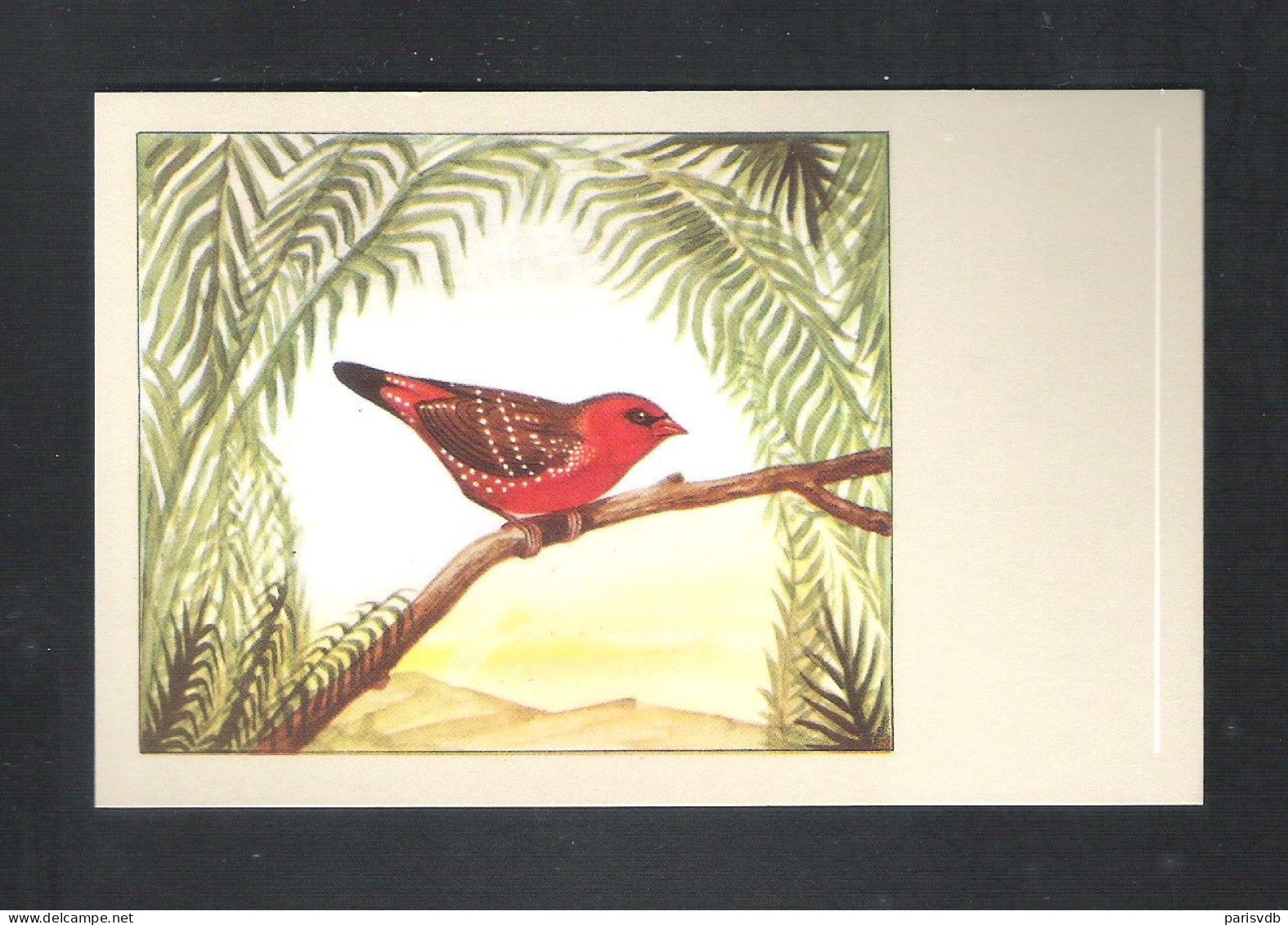 VOGEL - OISEAU - TIJGERVINK  -  SLUIS N° 43 - SER. 4  (13.599) - Vogels