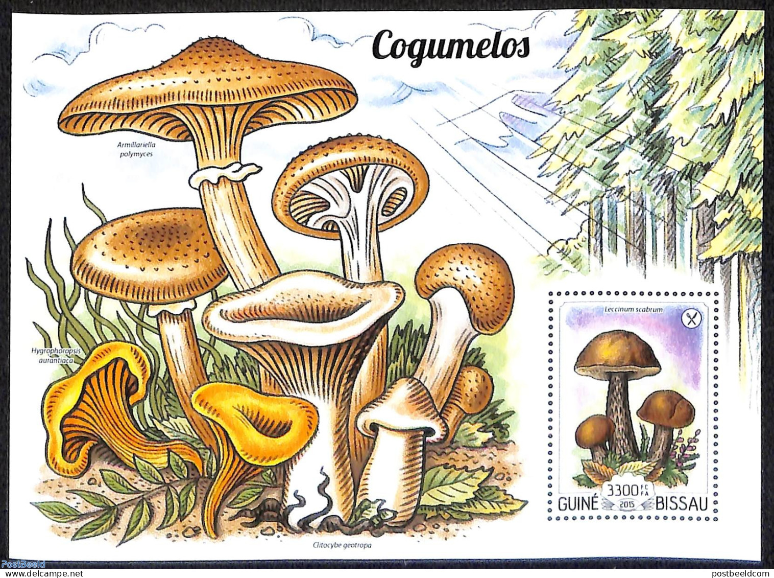 Guinea Bissau 2015 Mushrooms, Mint NH, Nature - Mushrooms - Funghi