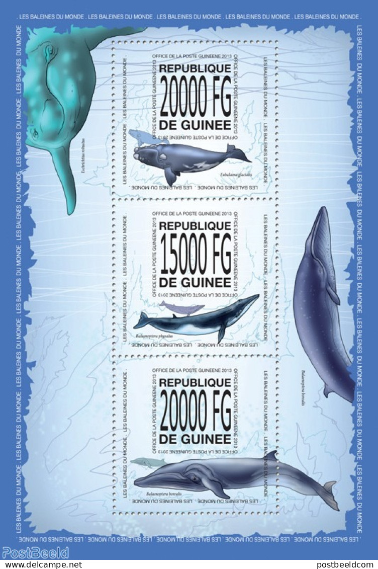 Guinea, Republic 2013 Whales, Mint NH, Nature - Sea Mammals - Autres & Non Classés