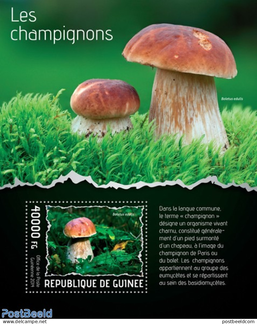Guinea, Republic 2014 Mushrooms, Mint NH, Nature - Mushrooms - Pilze