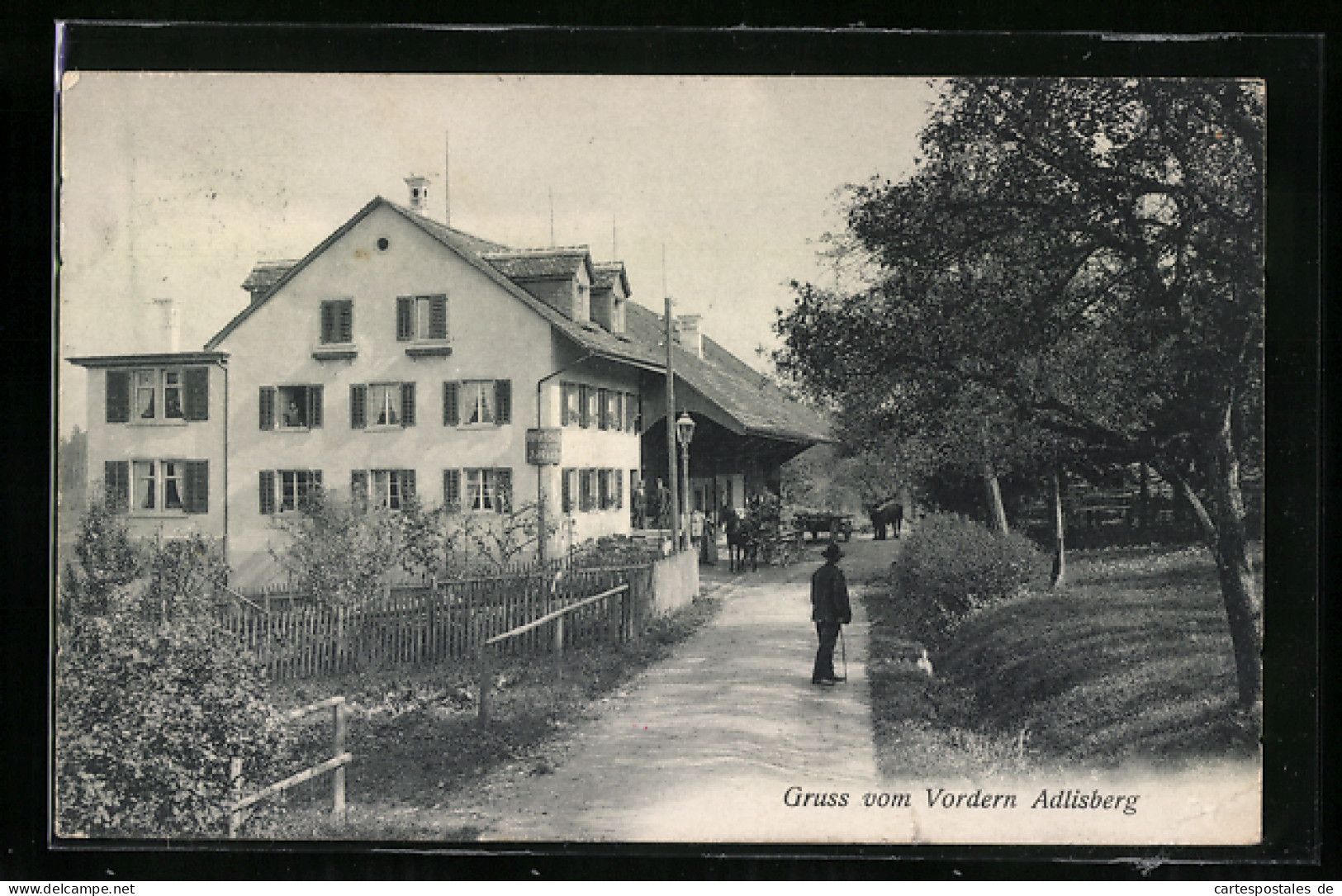 AK Zürich, Partie Mit Gasthaus Adlisberg  - Sonstige & Ohne Zuordnung