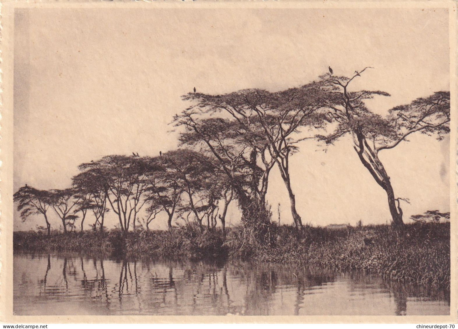 Parc National De L'Upemba Sur Les Bords De La Lufira Photo G F Le Blanc 3 745 - Belgian Congo