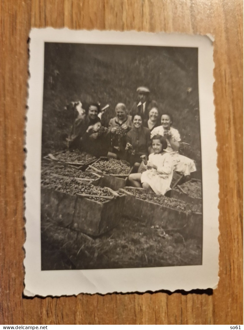 19361.  Fotografia D'epoca Gruppo Famiglia Vendemmia Cane Aa '40 Italia - 9x6 - Persone Anonimi