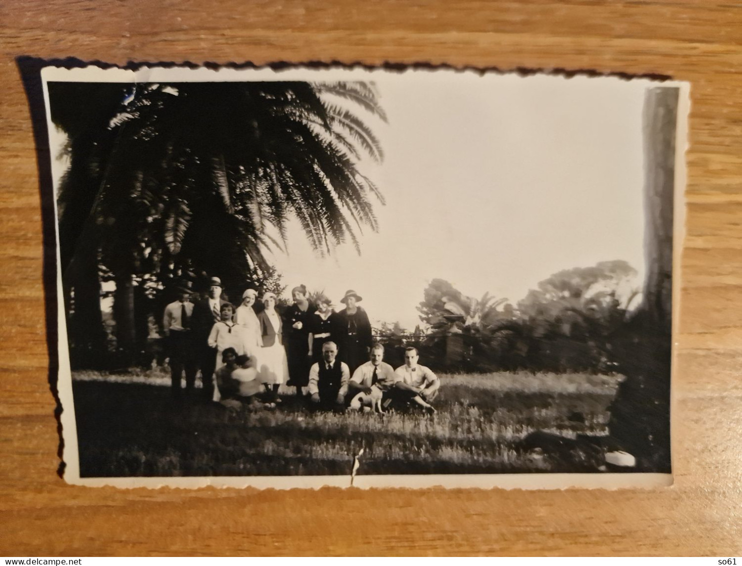 19362.  Fotografia D'epoca Gruppo Persone Al Parco Aa '20 Italia - 11,5x7,5 Foto Pandimiglio Roma - Persone Anonimi