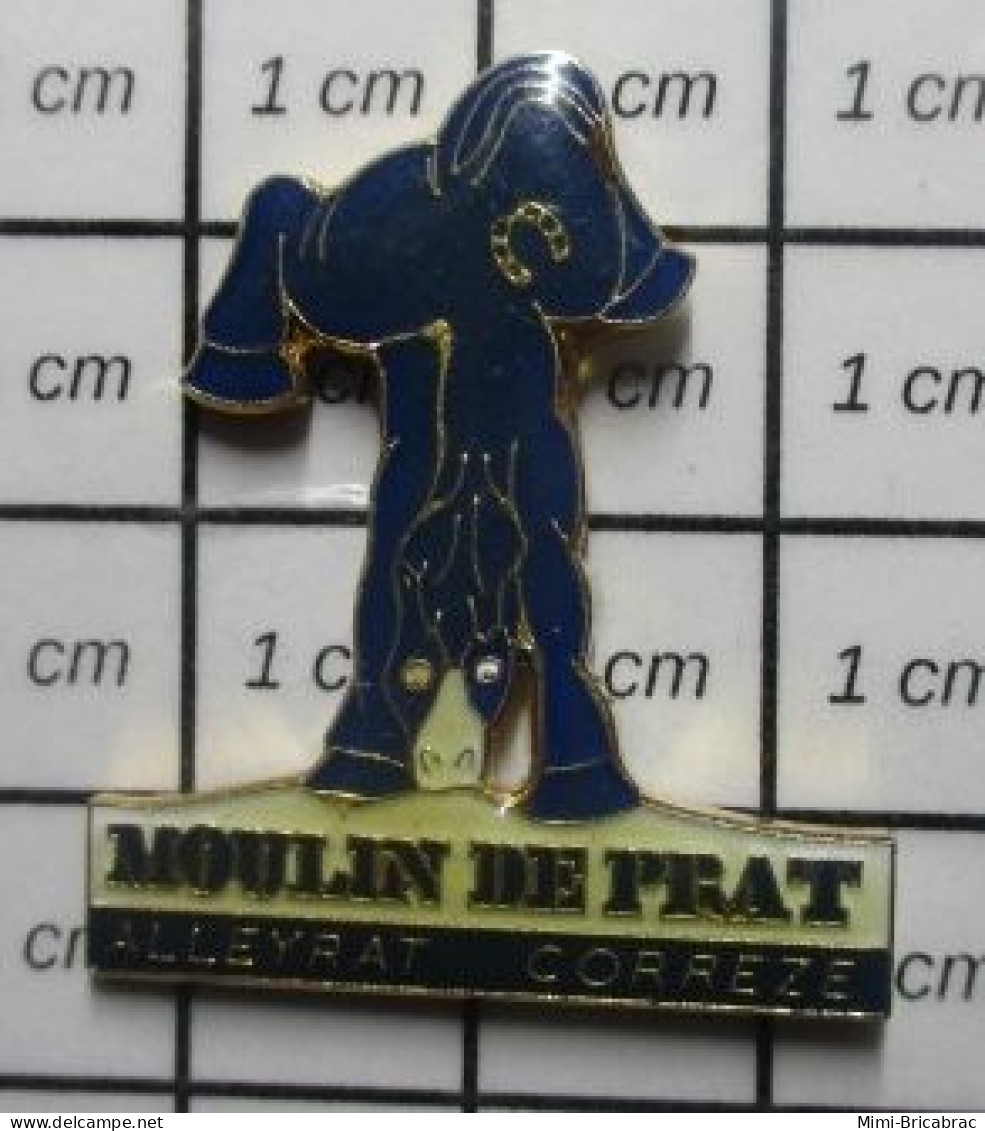 3417 Pin's Pins / Beau Et Rare / ANIMAUX / CHEVAL BLEU MOULIN DE PRAT ALLEYRAT CORREZE - Animals