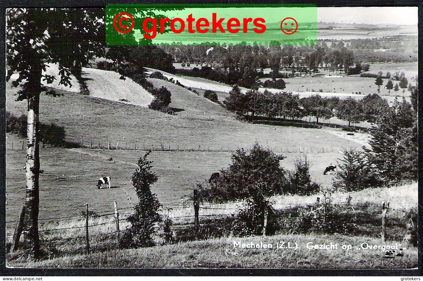 MECHELEN Gezicht Op Overgeul 1973 - Andere & Zonder Classificatie