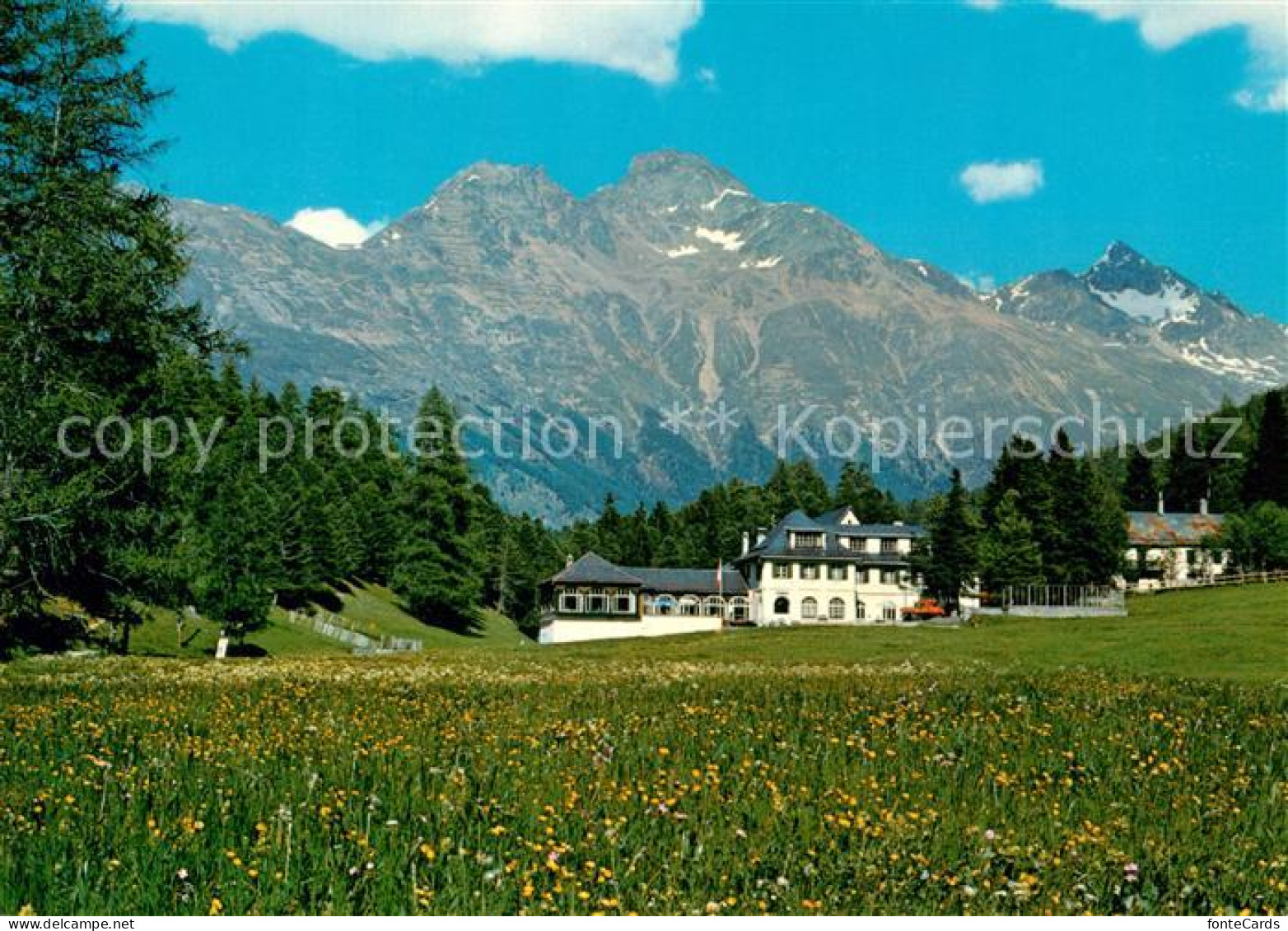 13234354 St Moritz GR Hotel Restaurant Meierei Blumenwiese Alpen St Moritz GR - Other & Unclassified