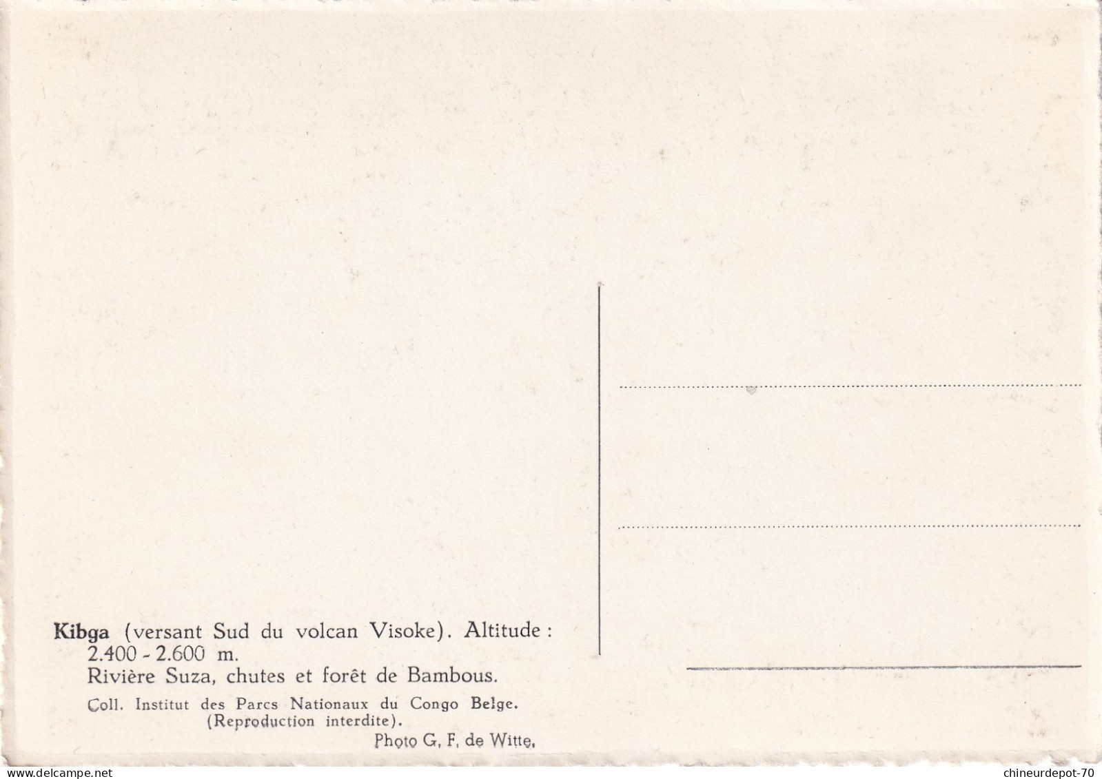 Kibga Versant Sud Du Volcan Visoke Rivière Suza Chutes Et Forêt De Bambous - Belgisch-Congo