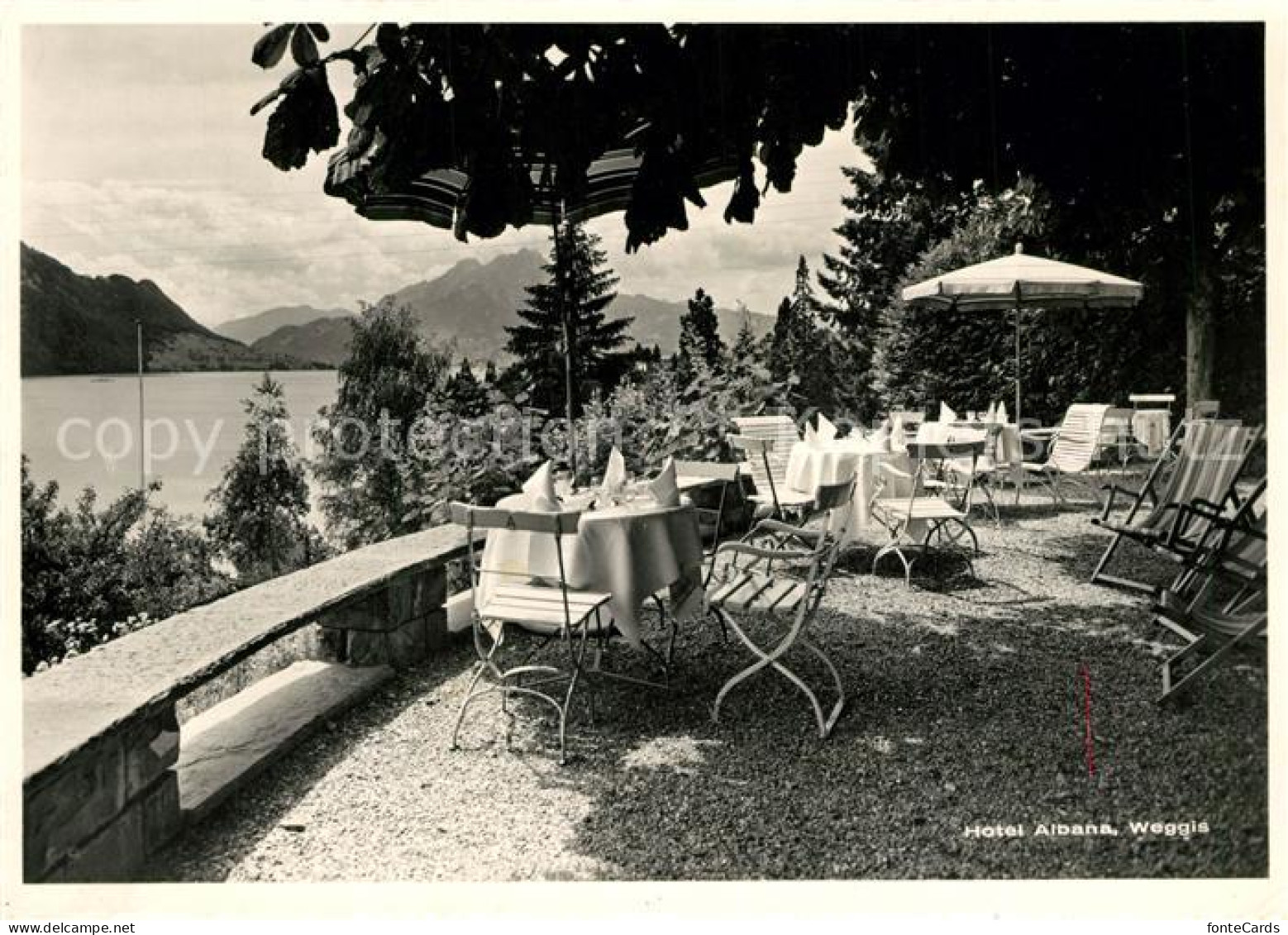 13226640 Weggis Vierwaldstaettersee Hotel Albana Weggis Vierwaldstaettersee - Altri & Non Classificati