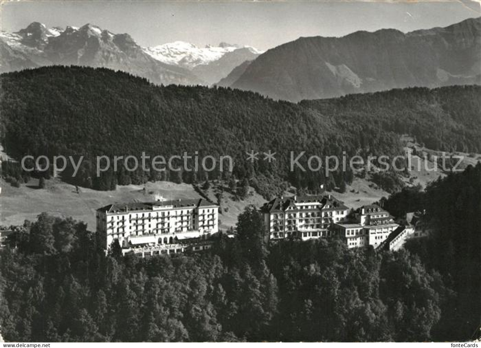 13224433 Buergenstock Hotels Palace Und Park Buergenstock - Andere & Zonder Classificatie