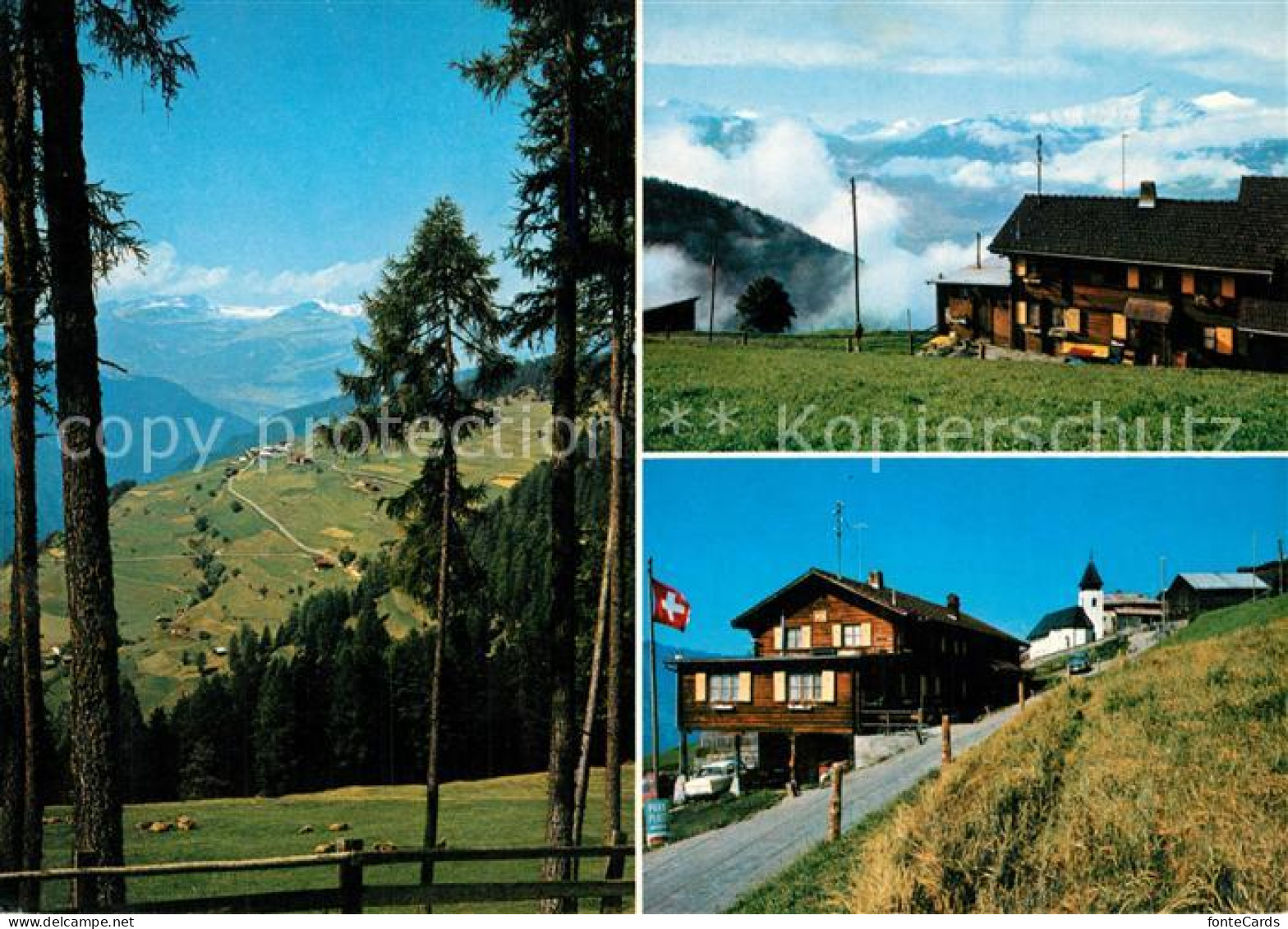 13222843 Trans Hinterrhein Gasthaus Pension Edelweis Landschaftspanorama Domlesc - Other & Unclassified