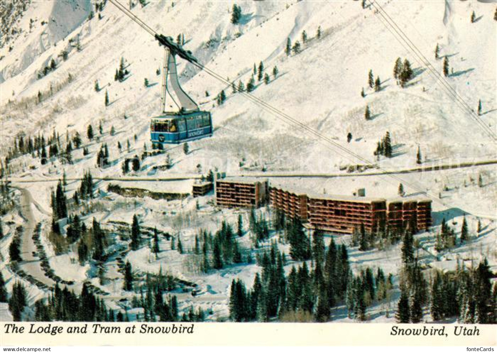 13221896 Snowbird Lodge And Tram Ski Resort Village - Sonstige & Ohne Zuordnung