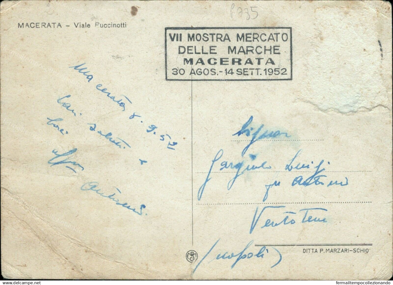 G785 Cartolina Macerata Citta' Viale Puccinotti Marche - Macerata