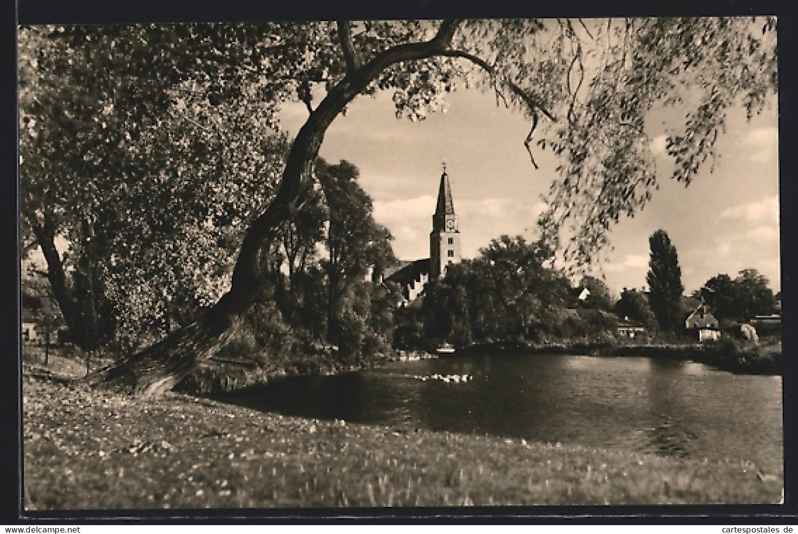 AK Brandenburg (Havel), Blick Auf Den Dom  - Brandenburg