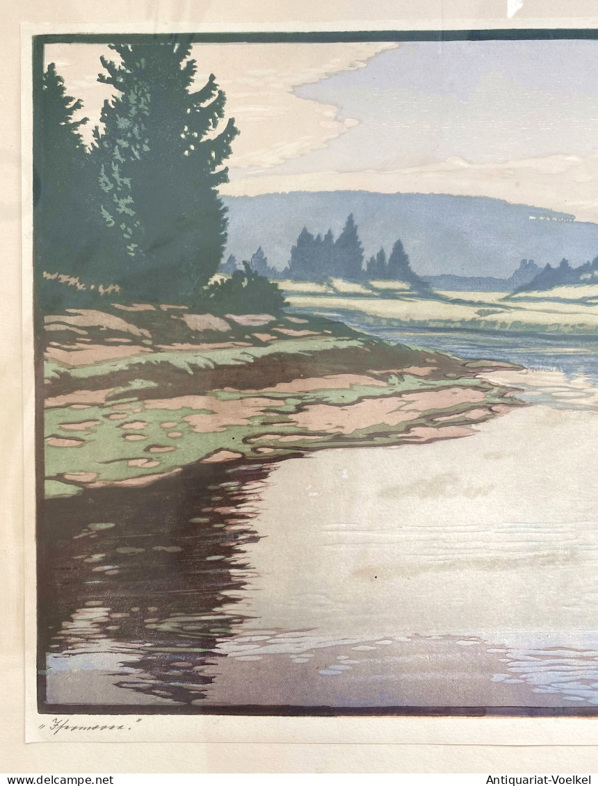 Isarmoor - Isar Moor / Landschaft Landscape - Prints & Engravings