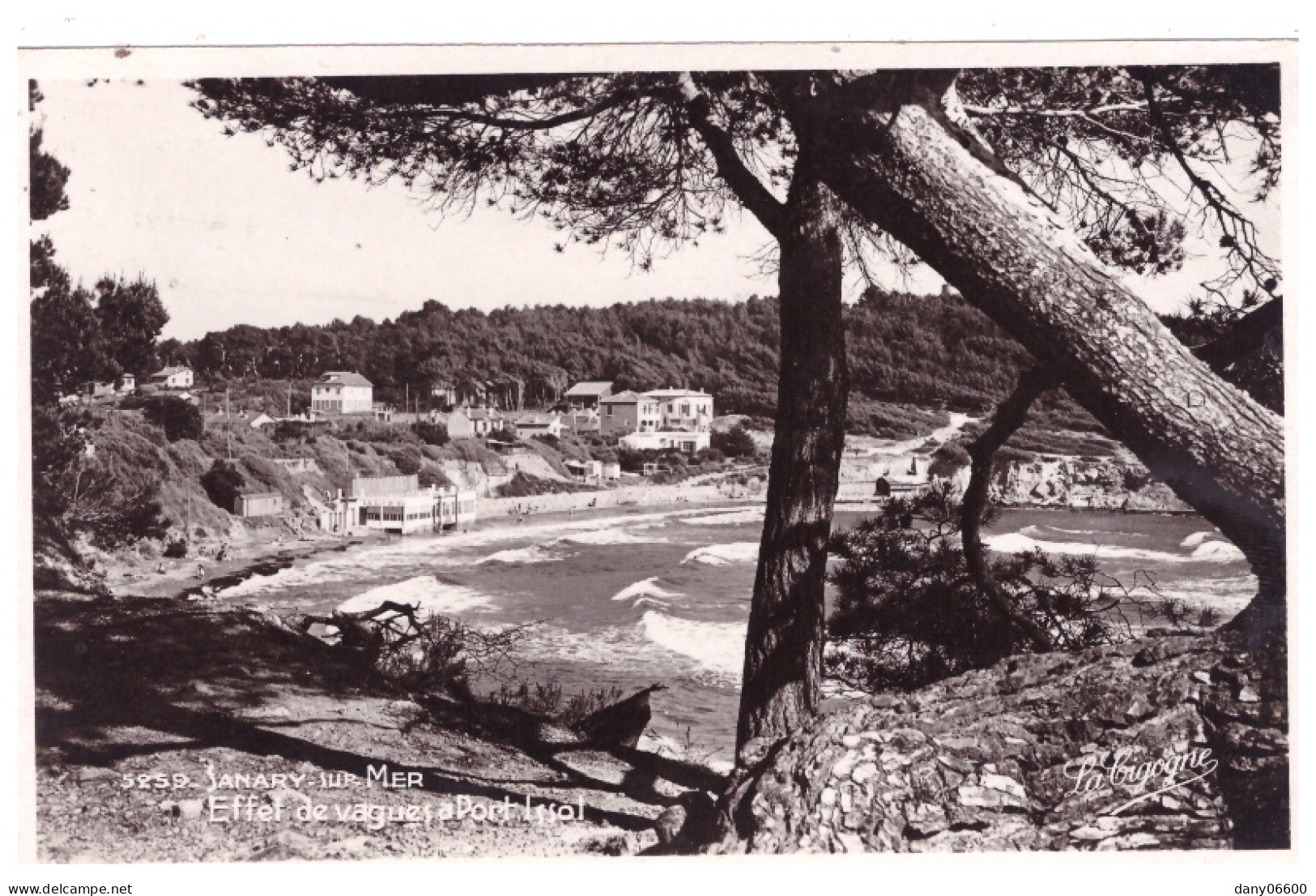 SANARY SUR MER (carte Photo) - Sanary-sur-Mer