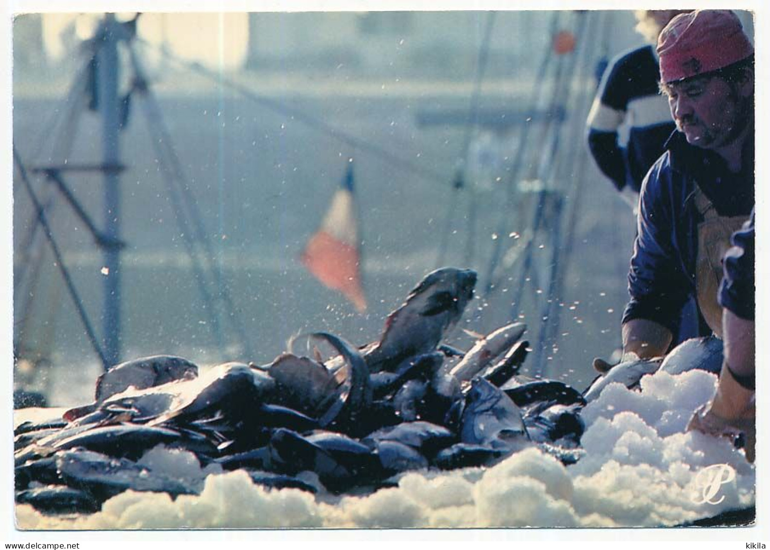 CPSM / CPM 10.5 X 15 Prestige BAIE D'ARCACHON Pêcheurs Poissons Dans La Glace - Aquitaine