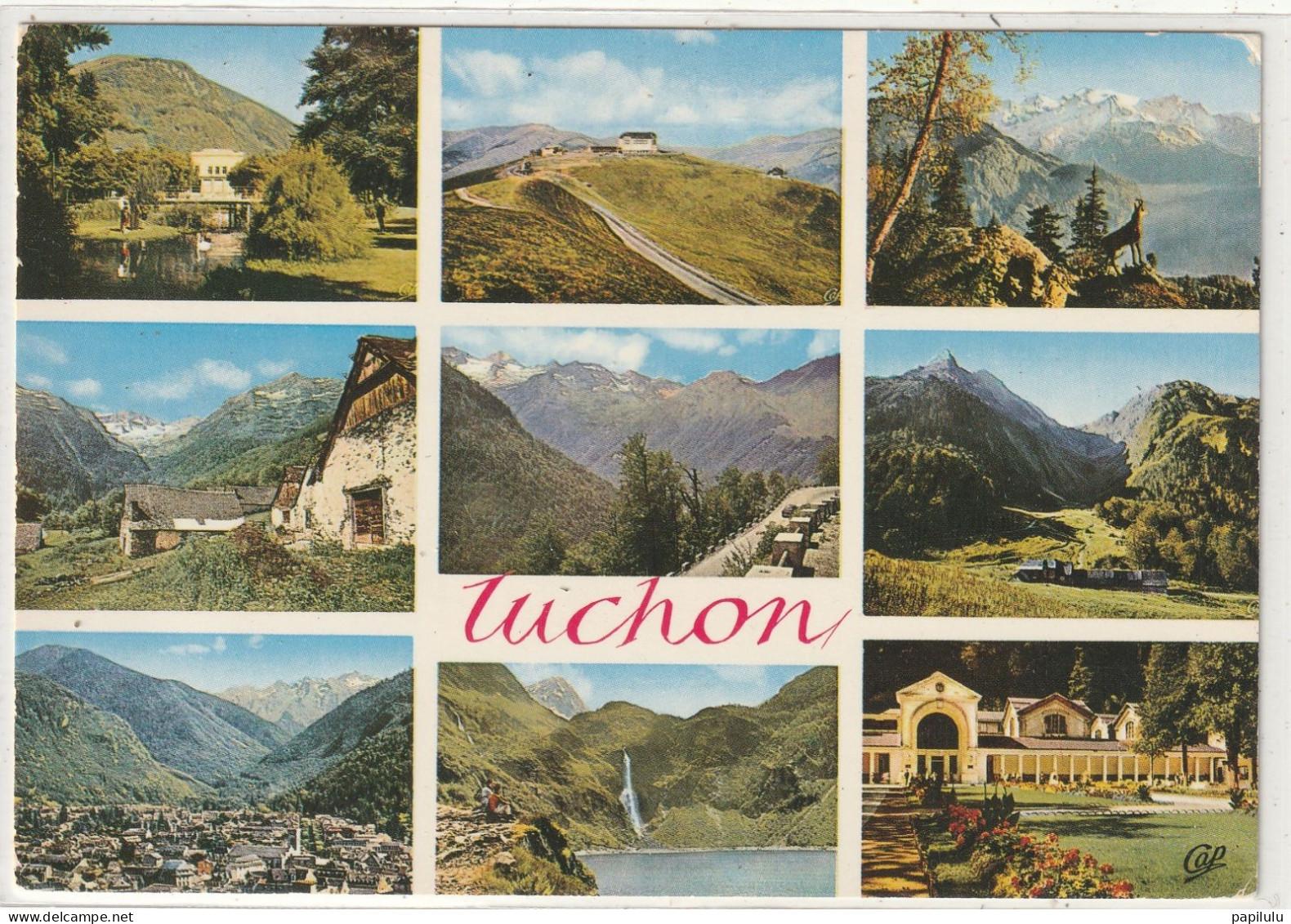 38 DEPT 31 : édit. Cap N° 1716 : Luchon " Multivues " - Luchon