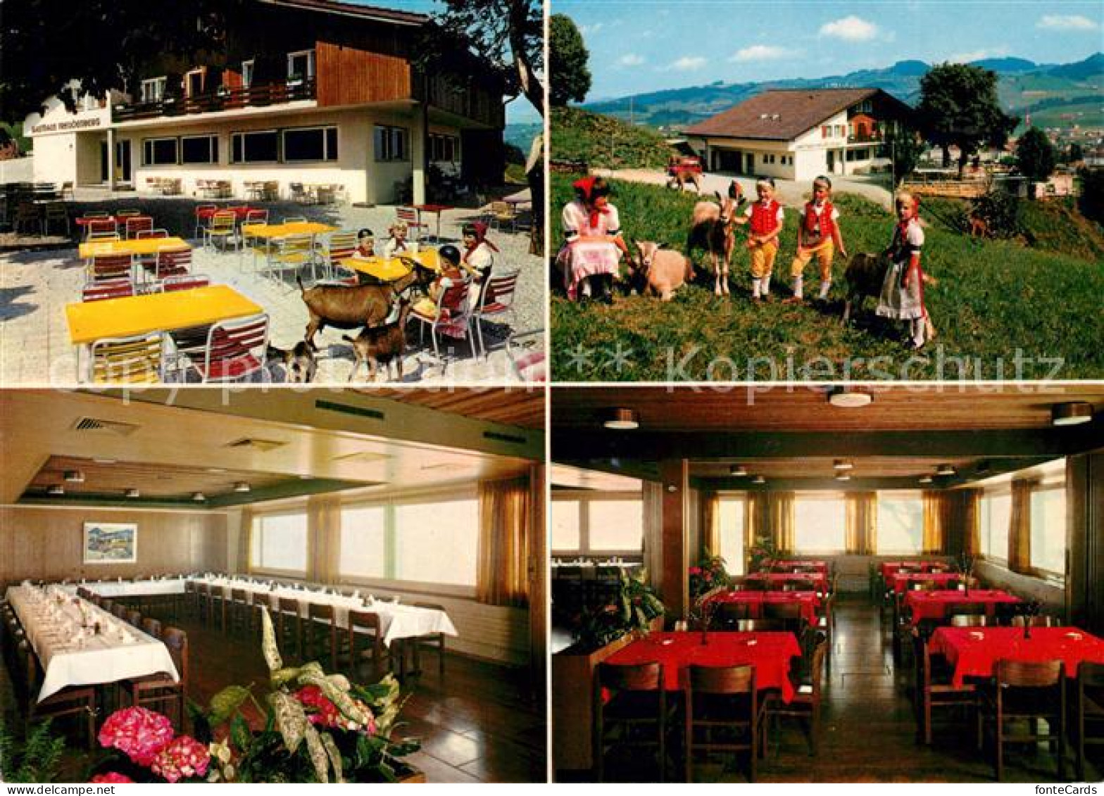 13203261 Appenzell IR Gasthaus Freudenberg Appenzell IR - Andere & Zonder Classificatie