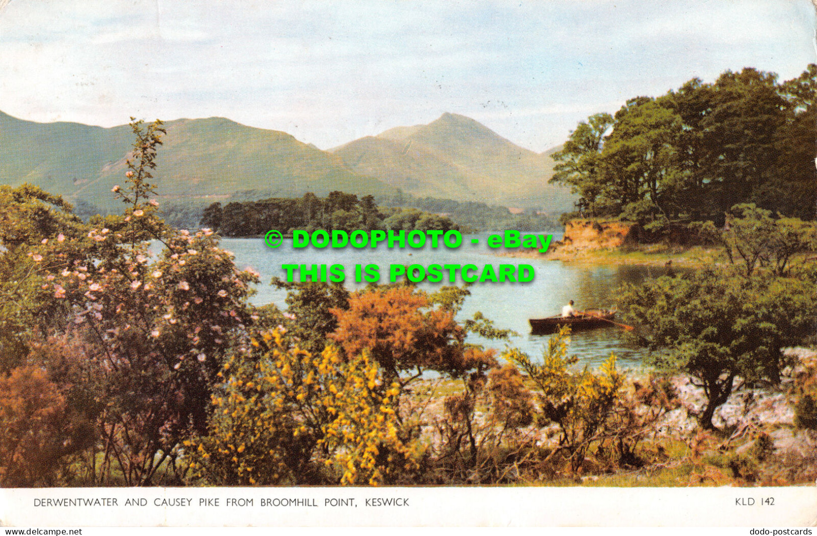R526081 Derwentwater And Causey Pike From Broomhill Point. Keswick. KLD 142. Cot - Monde