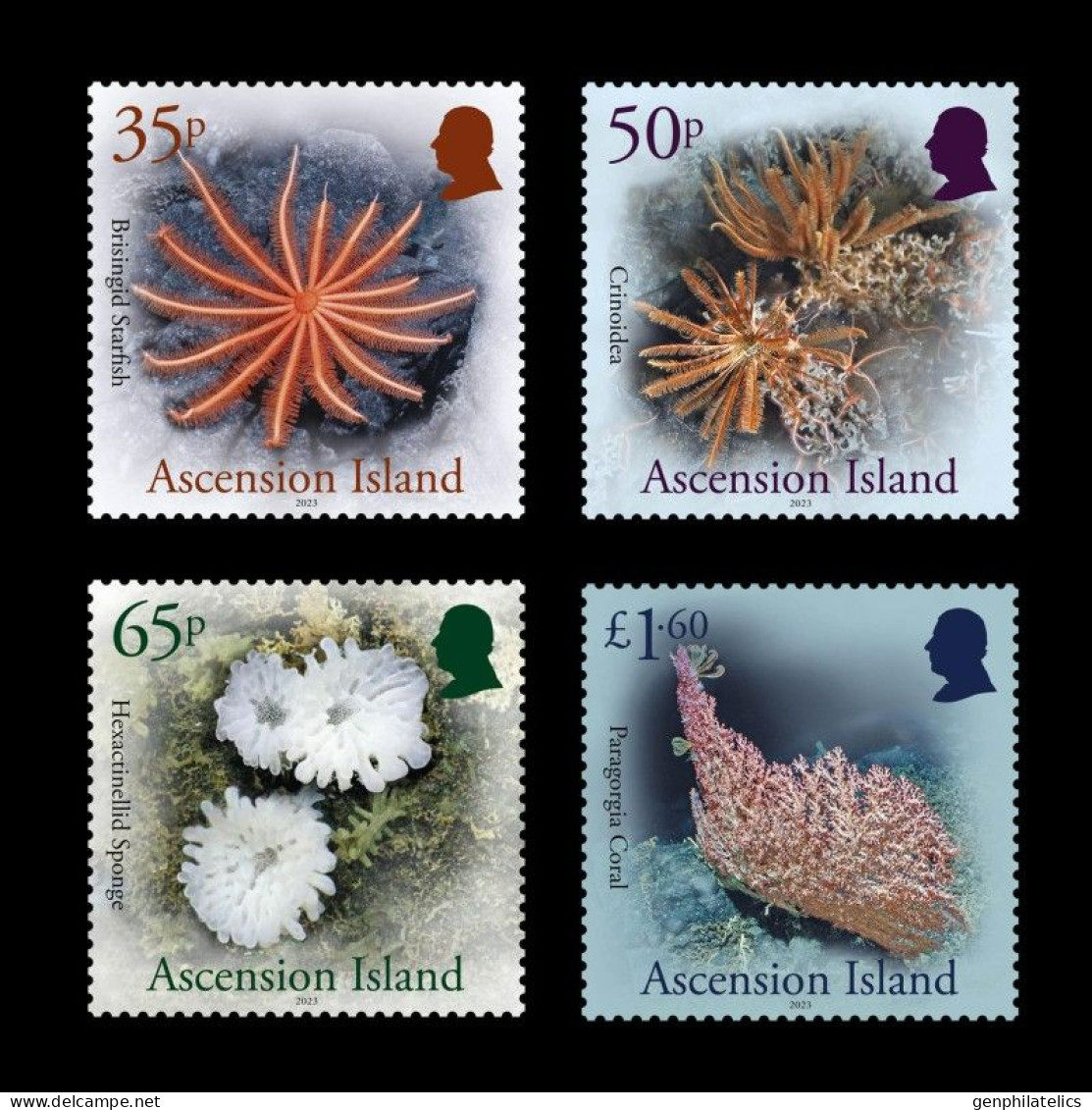 ASCENSION ISLAND 2024 FAUNA Animals. Deep Sea Life CORALS - Fine Set MNH - Ascension (Ile De L')