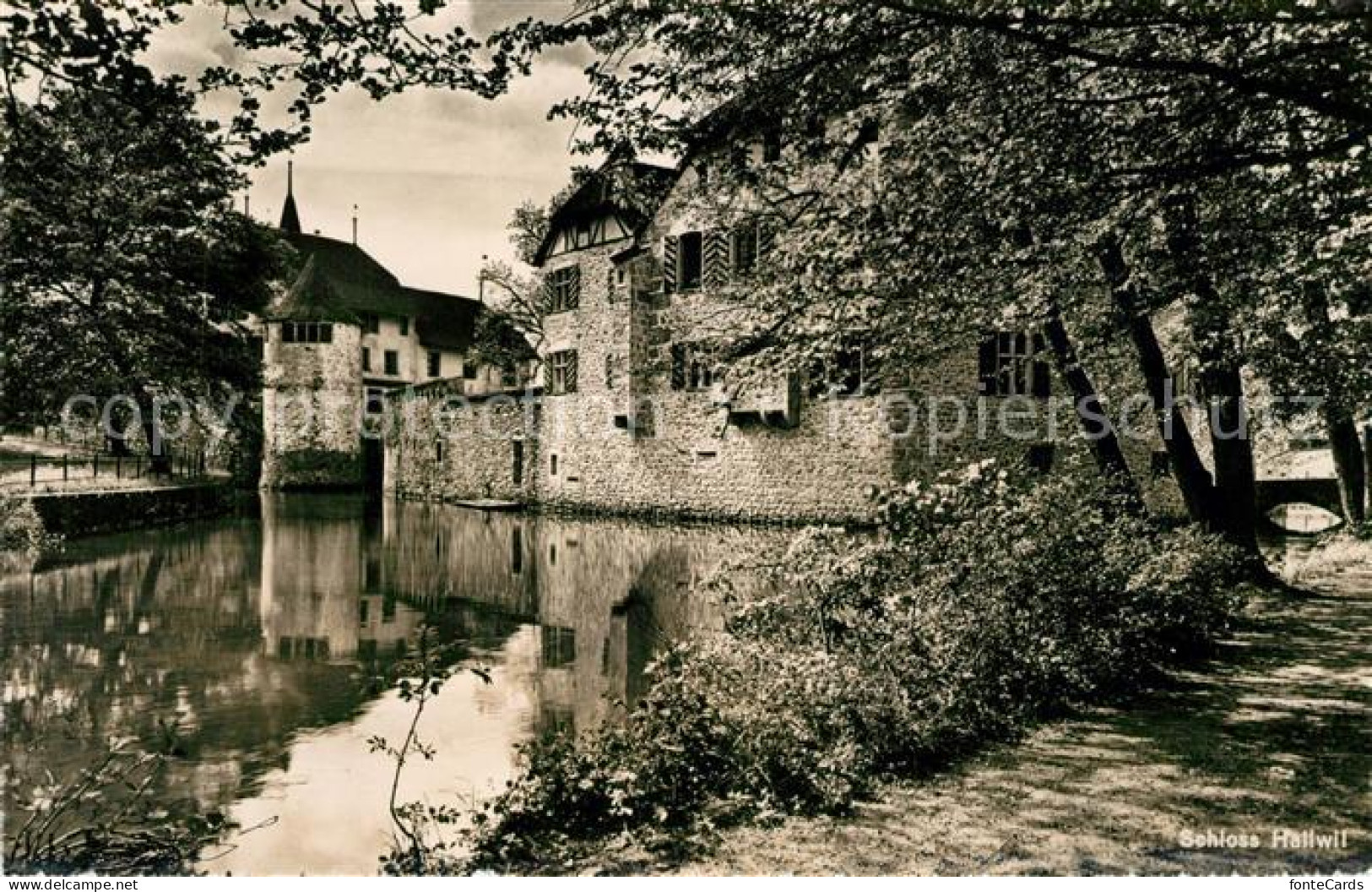 13201998 Seengen AG Schloss Hallwil Seengen AG - Sonstige & Ohne Zuordnung