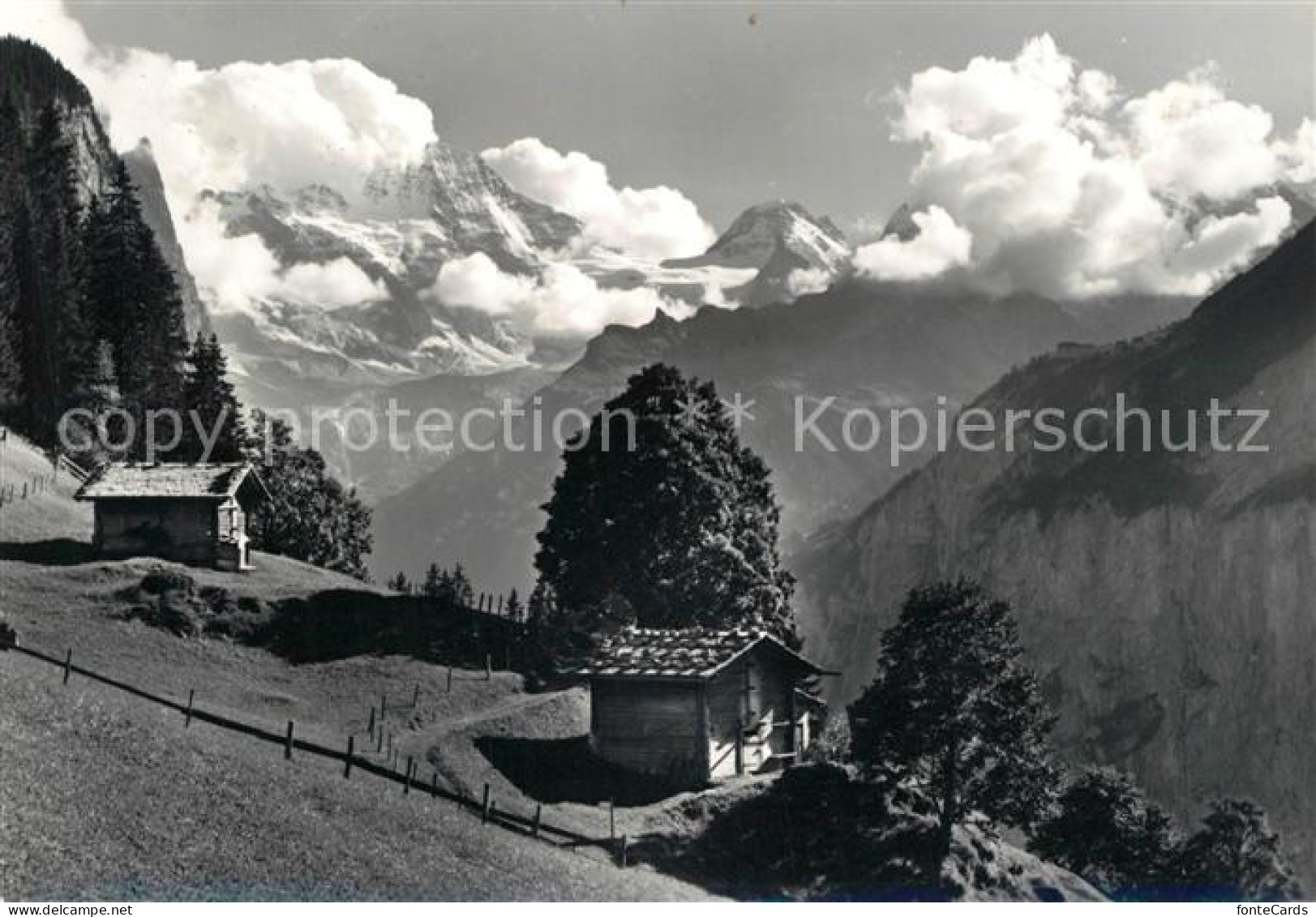 13200704 Wengen BE Breithorn Tschingelhorn Wengen BE - Otros & Sin Clasificación