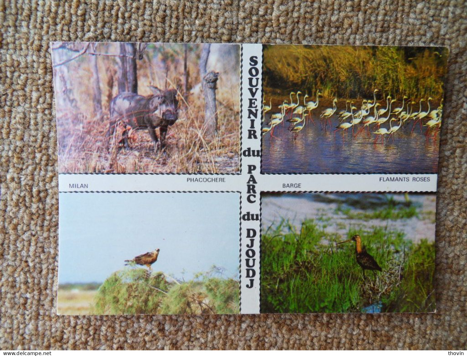 KB10/1390-Sénégal Multivues Souvenir Du Parc Du Djoudj Animaux - Senegal