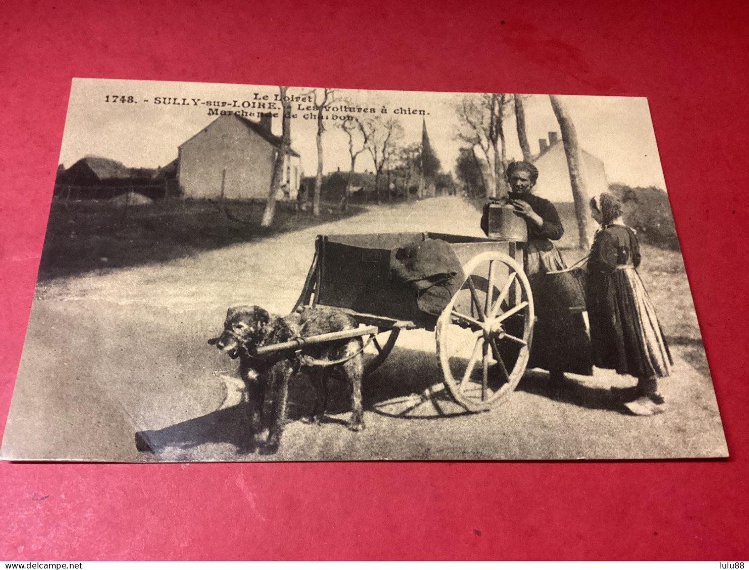 SULLY SUR LOIRE.  La Voiture à Chien FRAIS DE PORT OFFERT - Sully Sur Loire