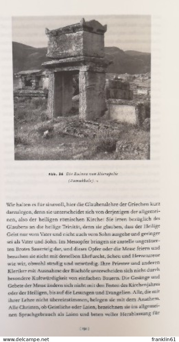 Der Kreuzzug Friedrich Barbarossas 1187 - 1190. Bericht eines Augenzeugen.