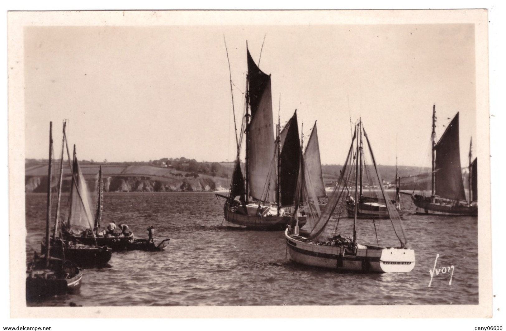 DOUARNENEZ - Le Port (carte Photo Animée) - Douarnenez